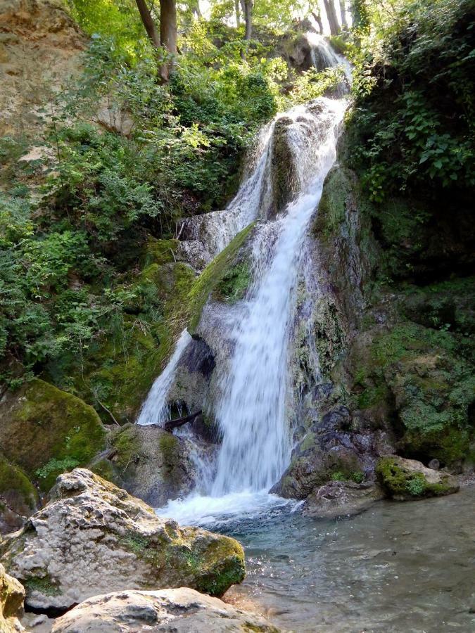 Gesztenyes Apartman Miskolc Dış mekan fotoğraf