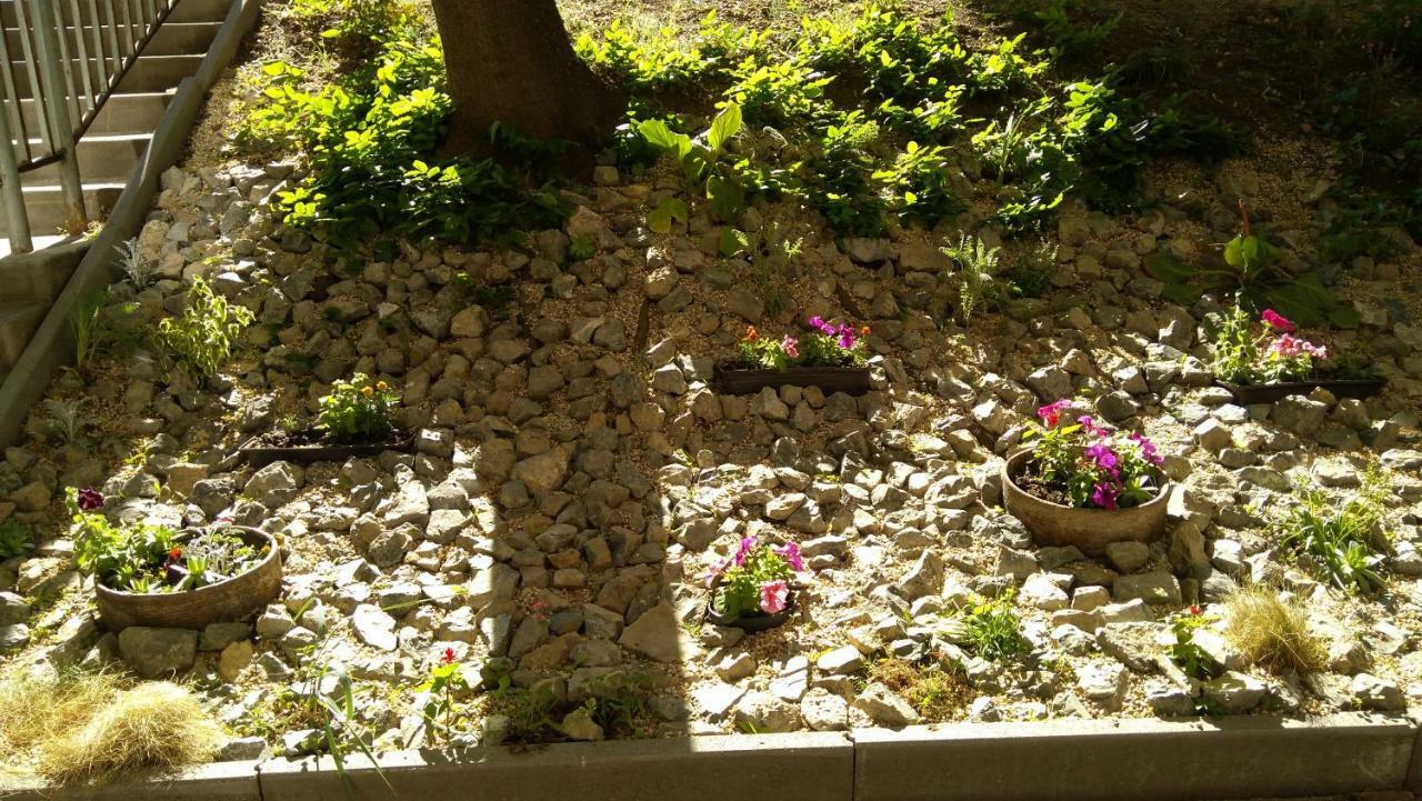 Gesztenyes Apartman Miskolc Dış mekan fotoğraf