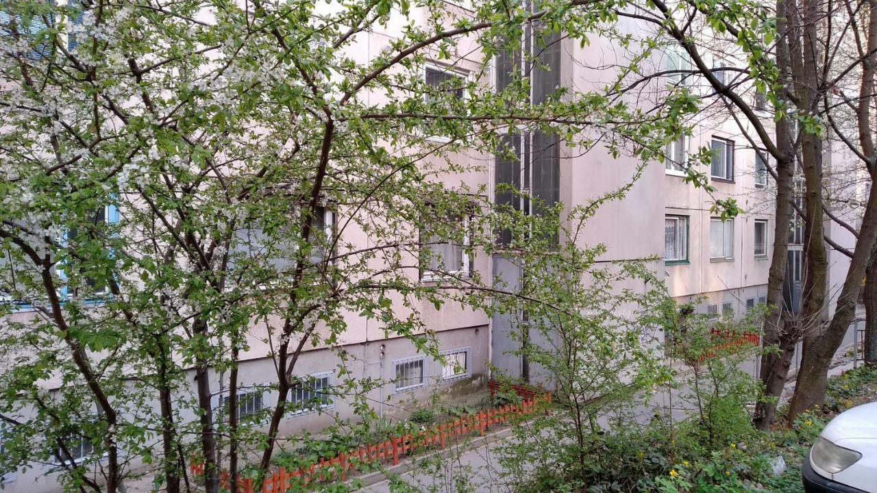 Gesztenyes Apartman Miskolc Dış mekan fotoğraf